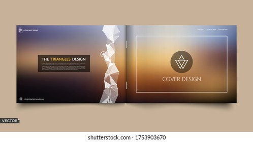 Abstract binder.  White low polygonal a4 brochure cover design. Info banner frame. Ad flyer text font. Title sheet model. Fancy vector front page. Techno blurb. White dots, lines, triangle figures.