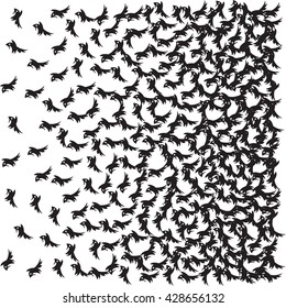 abstract bird background