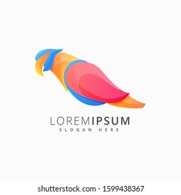 abstract bird colorful logo design vector