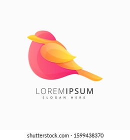 abstract bird colorful logo design vector