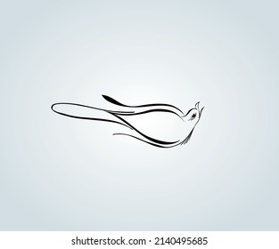 abstract bird with elegant calligraphy strokes for illustration