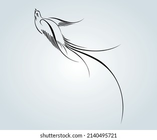 pájaro abstracto con trazos caligráficos elegantes para la ilustración