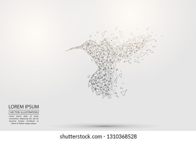 Abstract bird Hummingbird consisting of 3D triangles, lines, points and links. Vector illustration of EPS 10.