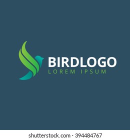 Abstract Bird Logo design vector template.