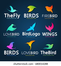 Abstract Bird Logo design vector template.Creative Dove Logotype business technology concept symbol icon.