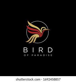Abstract bird of paradise logo icon vector template on black background