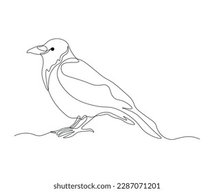 dibujo de una línea continua de la avenida de aves abstractas