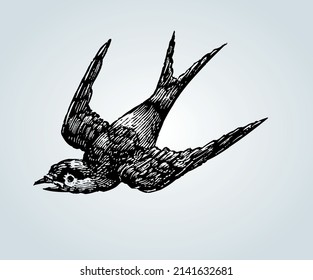 Abstract bird with shading techniques for illustration