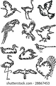 abstract birds