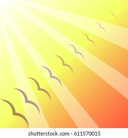 Abstract Birds flying Background 