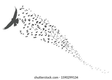 Abstract birds. Vector image. White background.