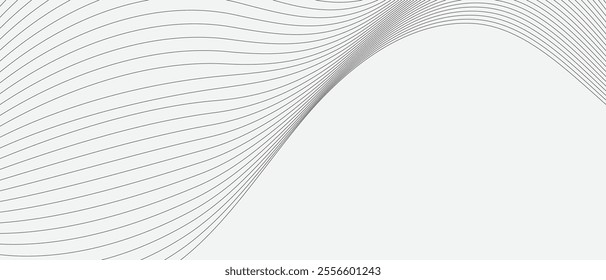 abstract black blend wavy line design on white grey can be used background.