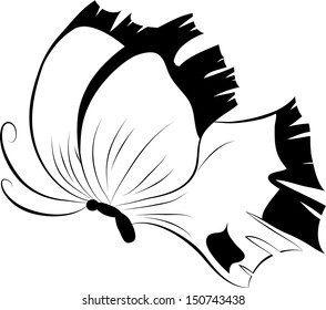 abstract black butterfly 