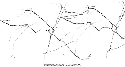 Abstract black crackle texture on white background high resolution image for design projects