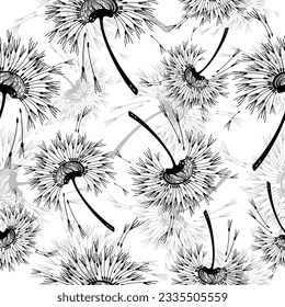 Abstract black dandelion background, dandelion with flying seeds  for stock vector