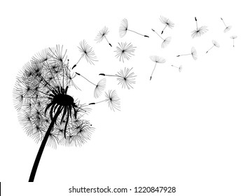 Abstract black dandelion, dandelion with flying seeds - for stock