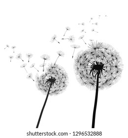 Grey Silhouette Dandelion Hearts On White Stock Vector (Royalty Free ...