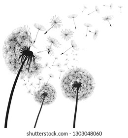 Grey Silhouette Dandelion Hearts On White Stock Vector (Royalty Free ...