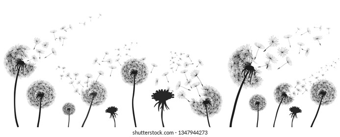 Abstract black dandelion, dandelion with flying seeds illustration - for stock