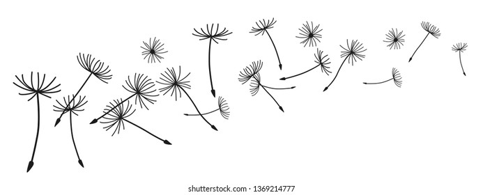 Abstract black dandelion, flying seeds of dandelion - vector