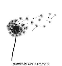 Abstract black dandelion, flying seeds of dandelion - vector for stock