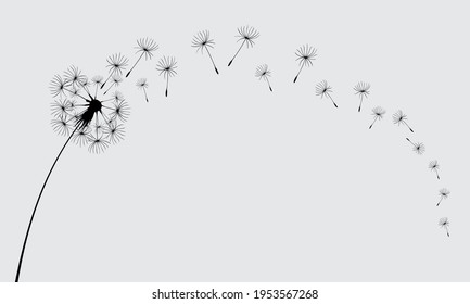 Abstract black dandelion, flying seeds of dandelion.Blowing dandelion, vector illustration