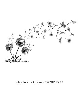 Abstract black dandelion, dandelion with flying seeds illustration 