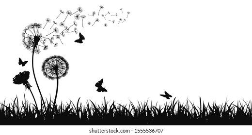 Abstract black dandelion silhouette, flying seeds of dandelion, butterfly, grass, field, nature eco background - stock vector