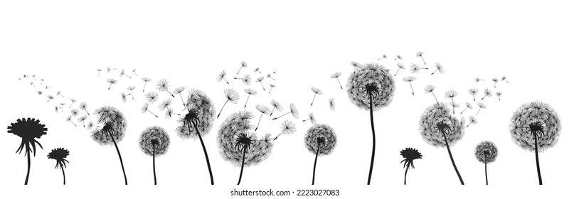 Abstract black dandelions, flower dandelion with flying seeds – for stock