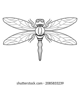 Abstract Black Dragonfly Insect Bug Wings Nature Doodle Outline Vector Design Style Wildlife