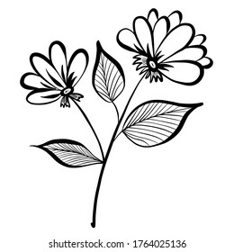 Abstract black flowers hand drawn vector illustration on white background