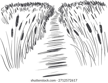 Abstrato tinta preta rabiscado canas e penas no branco