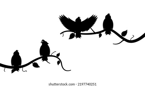 Resumen Rama de Árbol de Línea Negra con Aves Alas Pájaros Icono de vectores Naturaleza Estilo Decoración Fondo de dibujos aislados