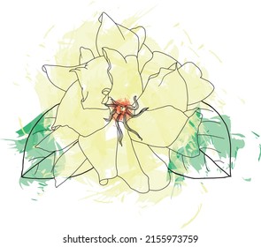 75 vectores de Cape jasmine - Vectores, imágenes y arte vectorial de stock  | Shutterstock