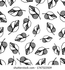 Abstract black liner leaves with doodle elements. Leaves on white background