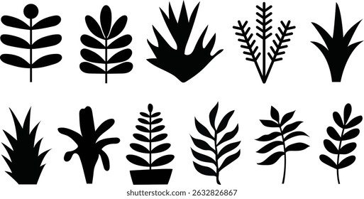 Abstract Black Silhouette leaves Icons for Design. Set of tropical leaves silhouettes. Flowers and plants, floral botanic design templates. Vector Illustration