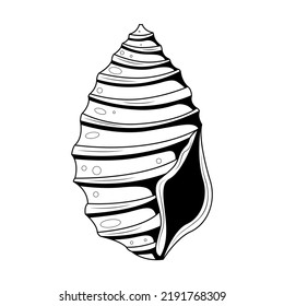 Abstract Black Simple Line Shell Doodle Outline Element Vector Design Style Sketch Isolated On White Background Illustration Nature