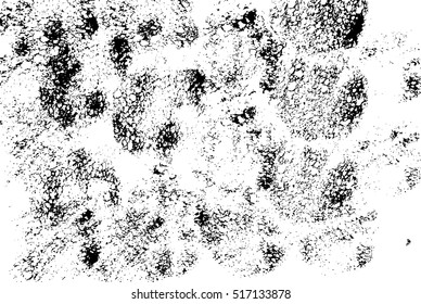 Abstract black sponge stains texture. Design for your brushes and grunge effects.