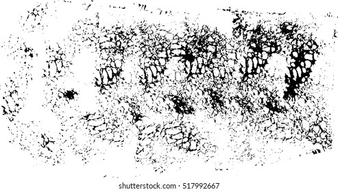 Abstract black sponge stains texture. Design for your brushes and grunge effects.