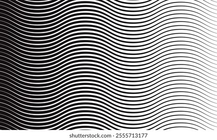 abstract black thin line smooth wave pattern art can be used background.