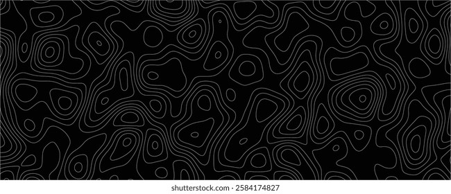 Abstract black and white artwork featuring intricate fluid lines and organic contours
