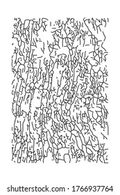 Abstract black and white background based on natural lines