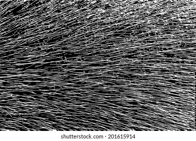 Abstract black and white background of line and fur