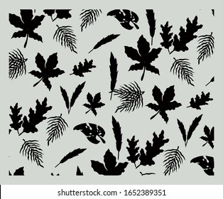 Antecedentes en blanco y negro Sensación transparente de hoja. vector de las plantas tropicales.