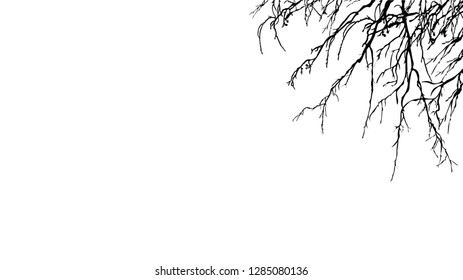 Abstract black and white background whith place for your text. tree branches on a white background (vector illustration).