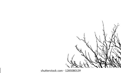 Abstract black and white background whith place for your text. tree branches on a white background (vector illustration).