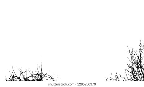 Abstract black and white background whith place for your text. tree branches on a white background (vector illustration).