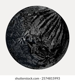 Abstract black and white circular design with intricate patterns and textures. The circular design features complex textures and abstract patterns.