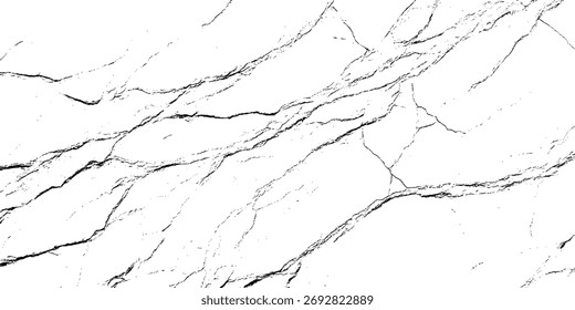Fondo Abstractas del patrón de tierra angustiado de la textura de la grieta blanca negra.