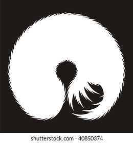 Abstract black & white design